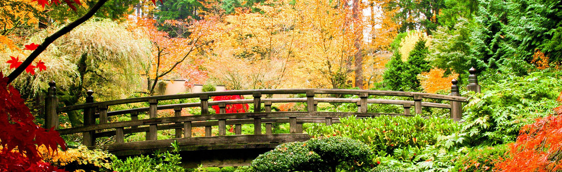a bridge in an asian garden during fall season